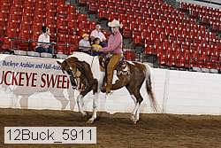 12buck_5911 proof