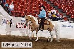 12buck_5914 proof