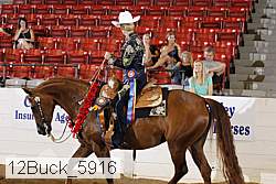 12buck_5916 proof