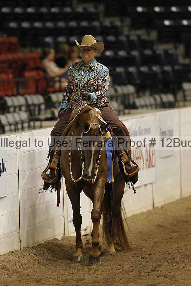 Proof 12buck_5930