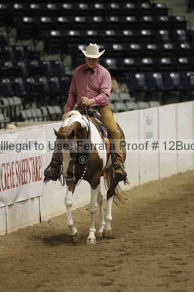 Proof 12buck_5936
