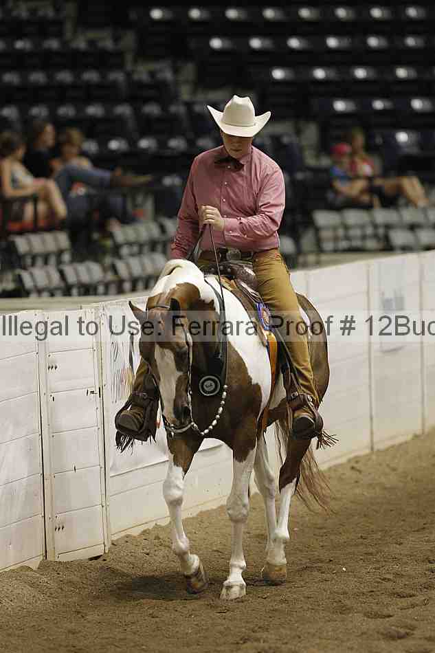 Proof 12buck_5937