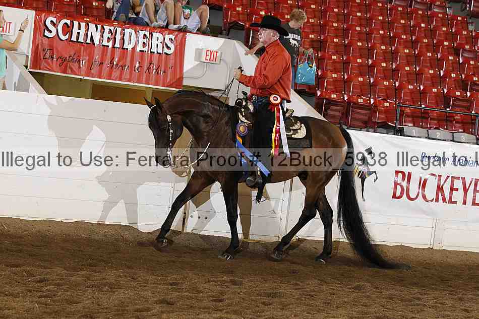 Proof 12buck_5938