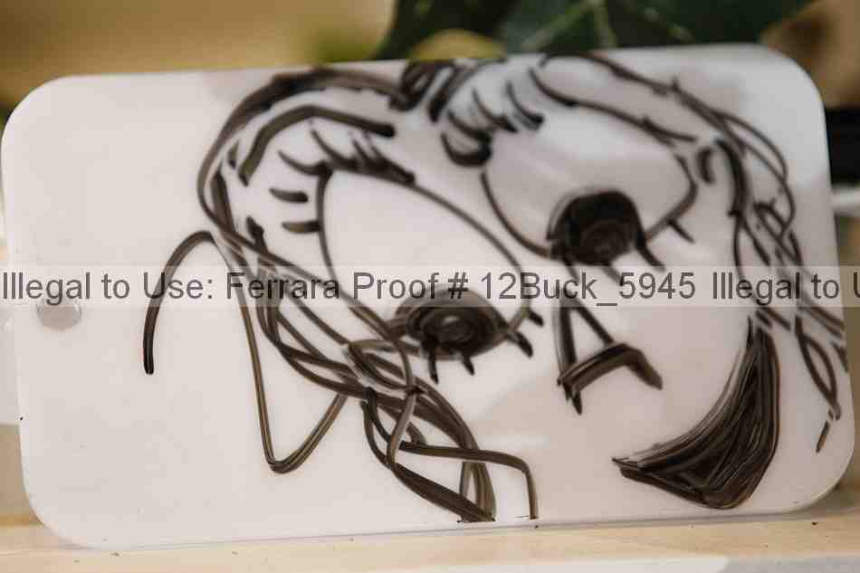 Proof 12buck_5945