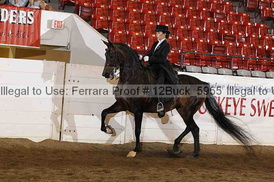 Proof 12buck_5955