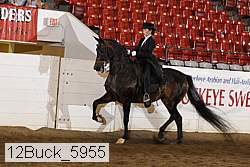 12buck_5955 proof