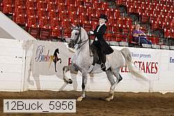 12buck_5956 proof