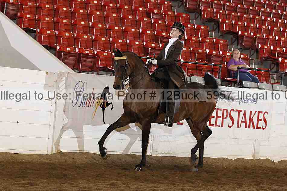 Proof 12buck_5957