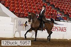 12buck_5957 proof