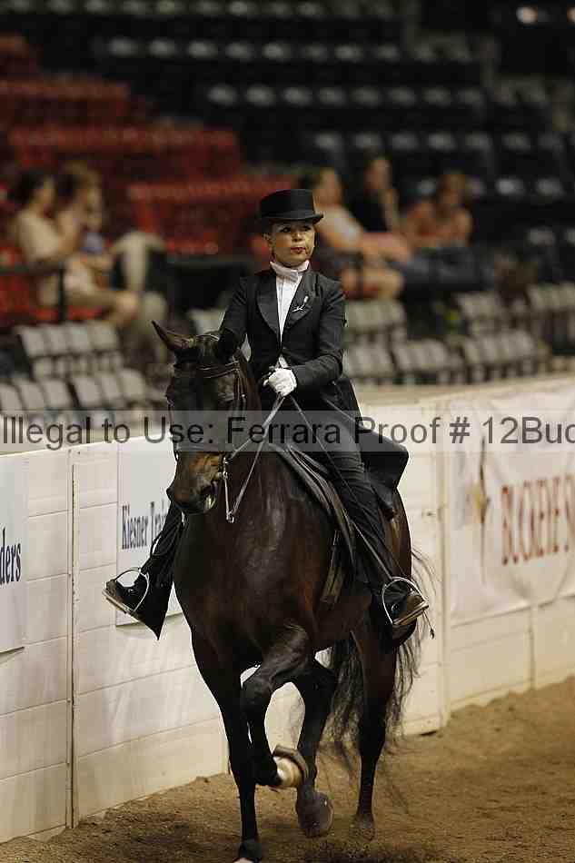Proof 12buck_5958