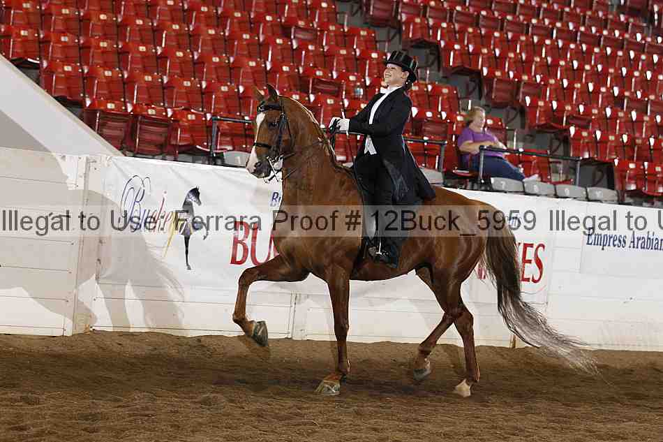 Proof 12buck_5959