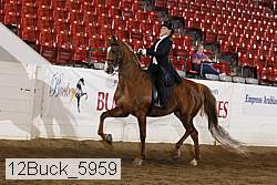 12buck_5959 proof