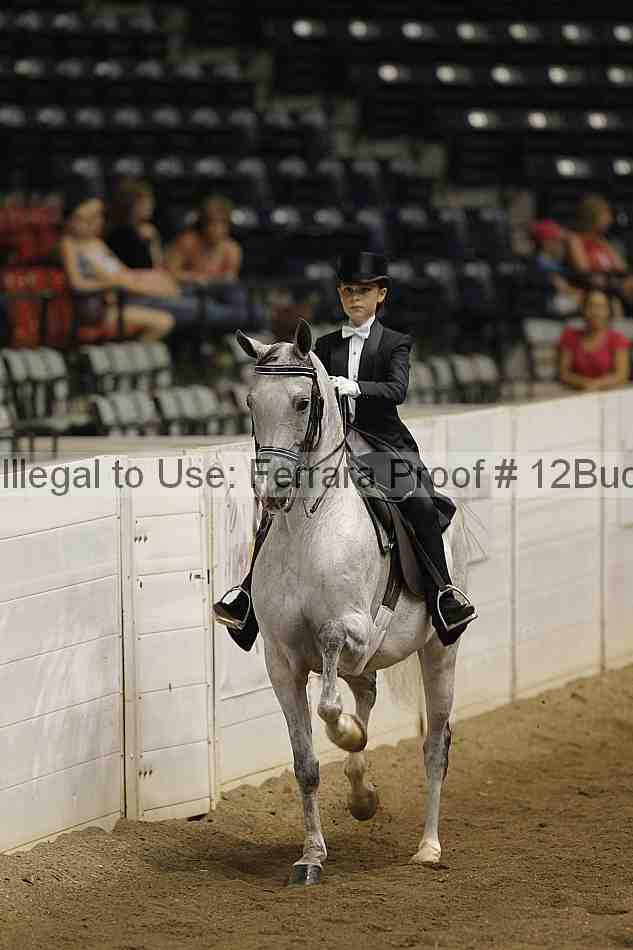 Proof 12buck_5960