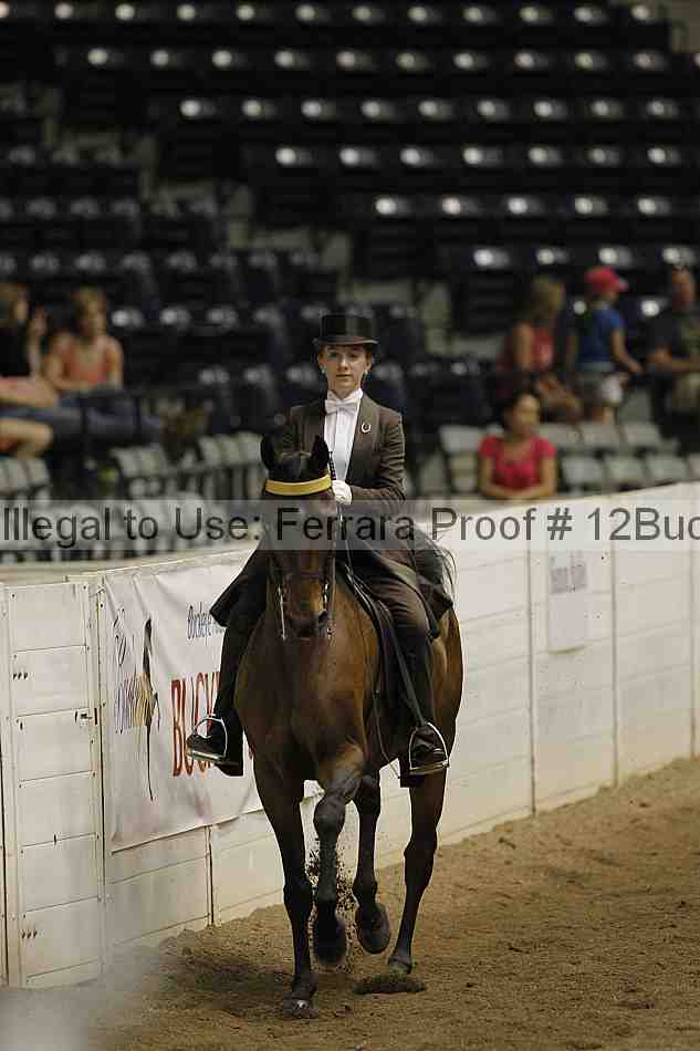 Proof 12buck_5961
