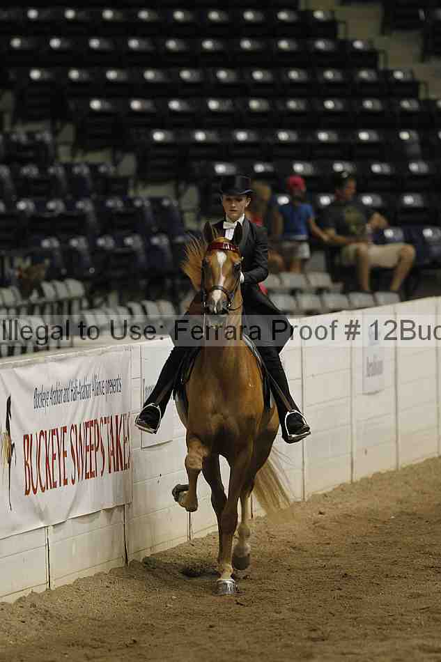 Proof 12buck_5963