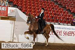 12buck_5964 proof
