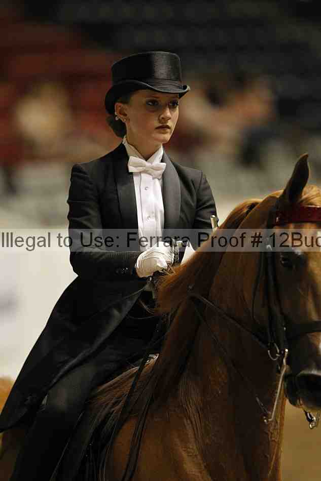 Proof 12buck_5966