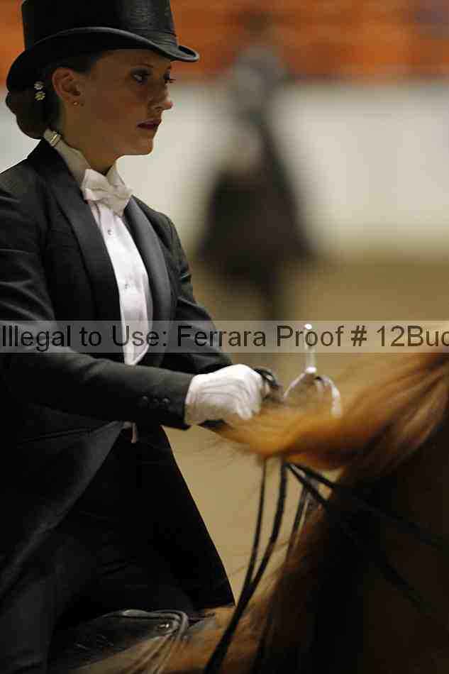 Proof 12buck_5967