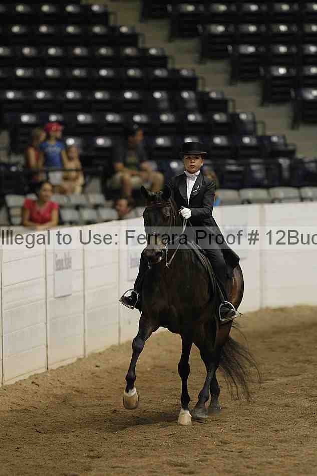 Proof 12buck_5968
