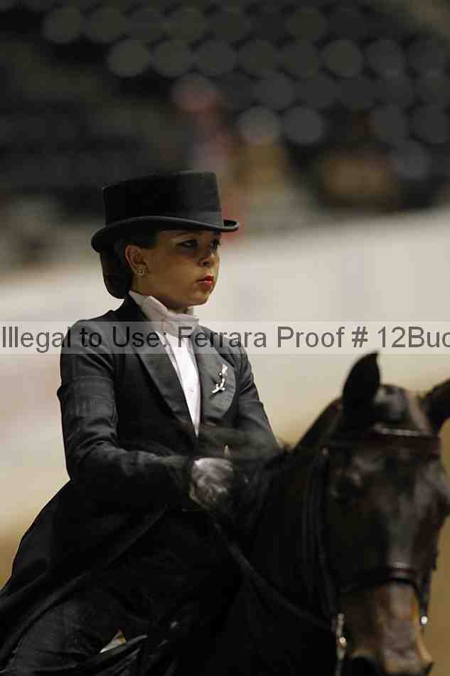 Proof 12buck_5970