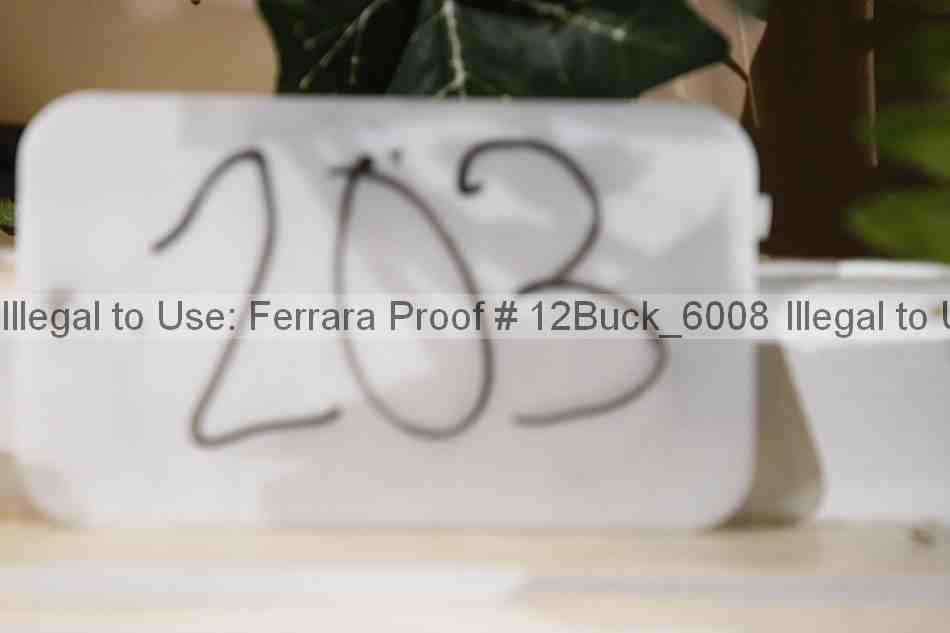 Proof 12buck_6008