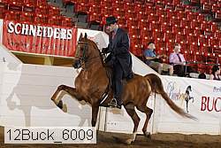 12buck_6009 proof