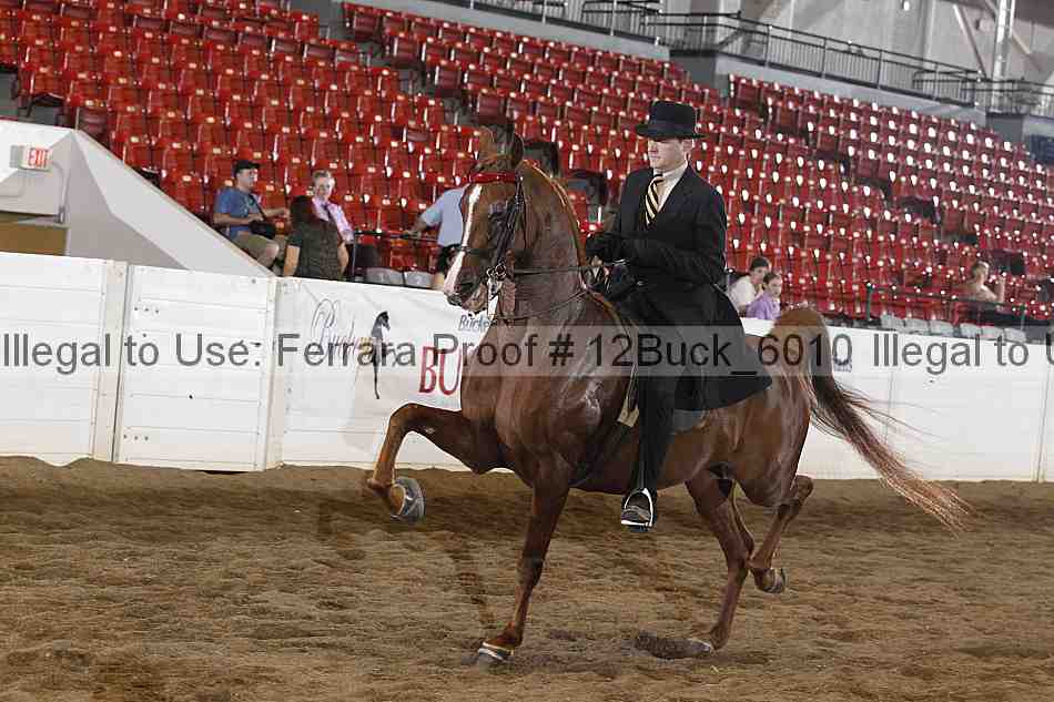 Proof 12buck_6010