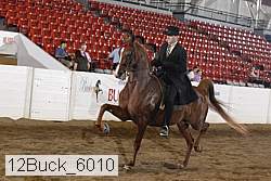 12buck_6010 proof