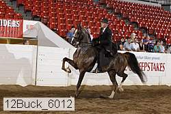 12buck_6012 proof