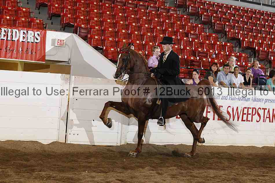 Proof 12buck_6013