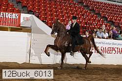 12buck_6013 proof