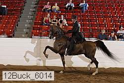 12buck_6014 proof