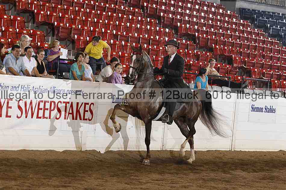 Proof 12buck_6018