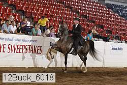 12buck_6018 proof
