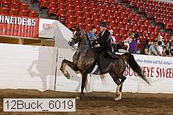 12buck_6019 proof