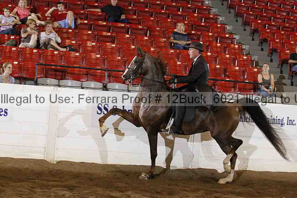 Proof 12buck_6021