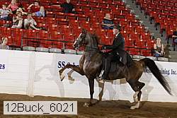 12buck_6021 proof