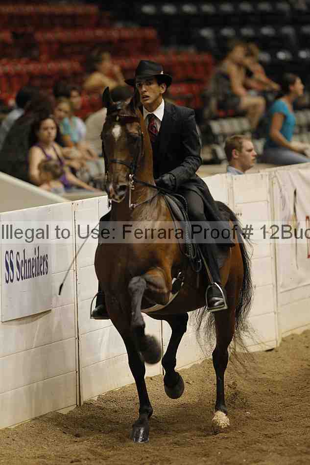 Proof 12buck_6022