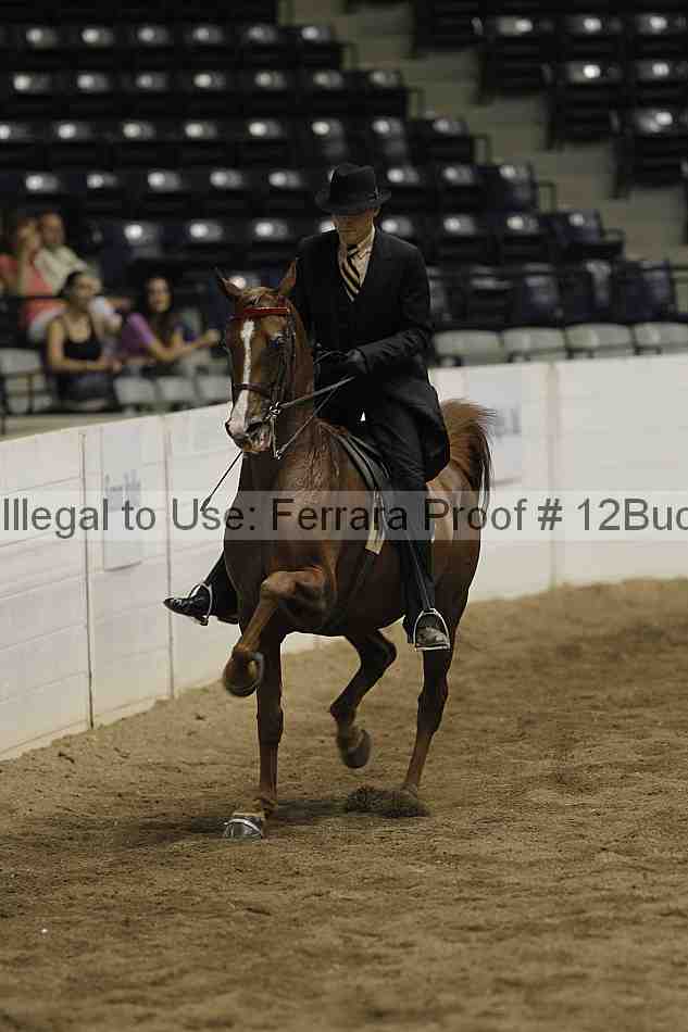 Proof 12buck_6023
