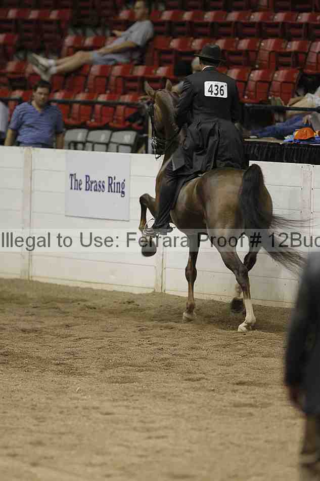 Proof 12buck_6024