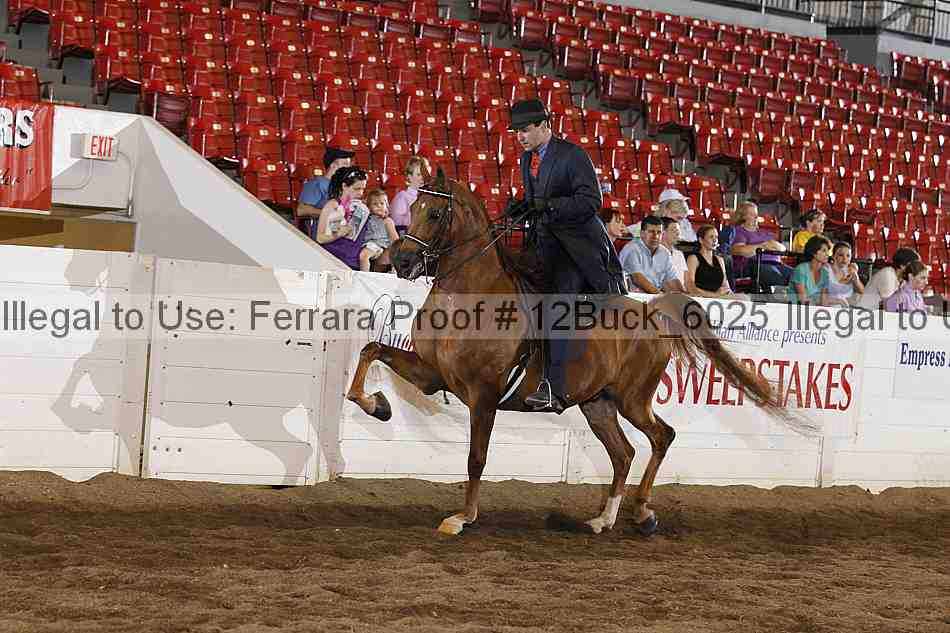Proof 12buck_6025