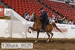 12buck_6025 proof