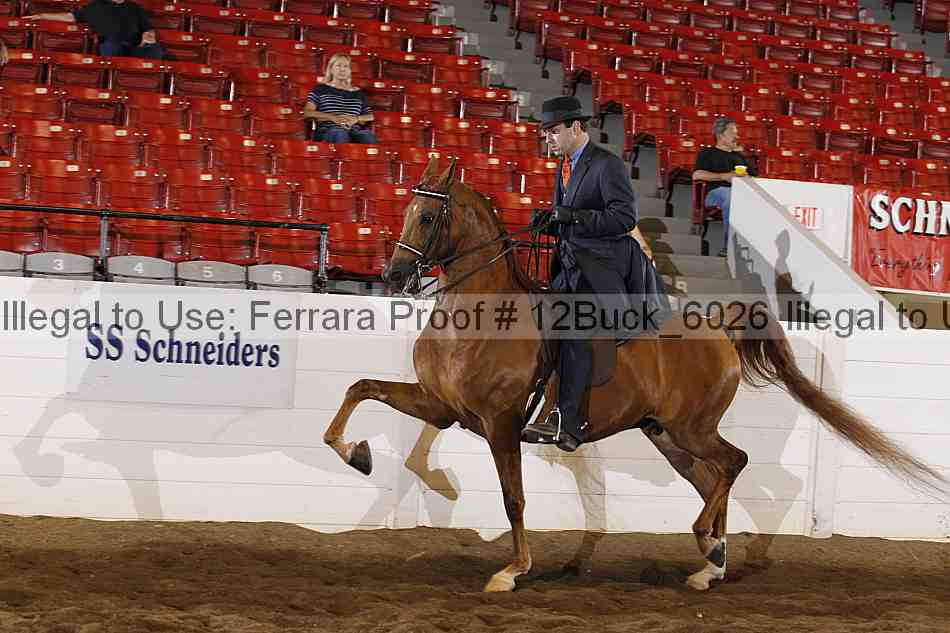 Proof 12buck_6026