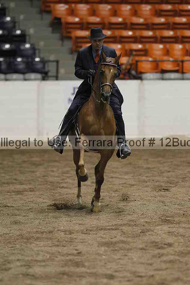 Proof 12buck_6027