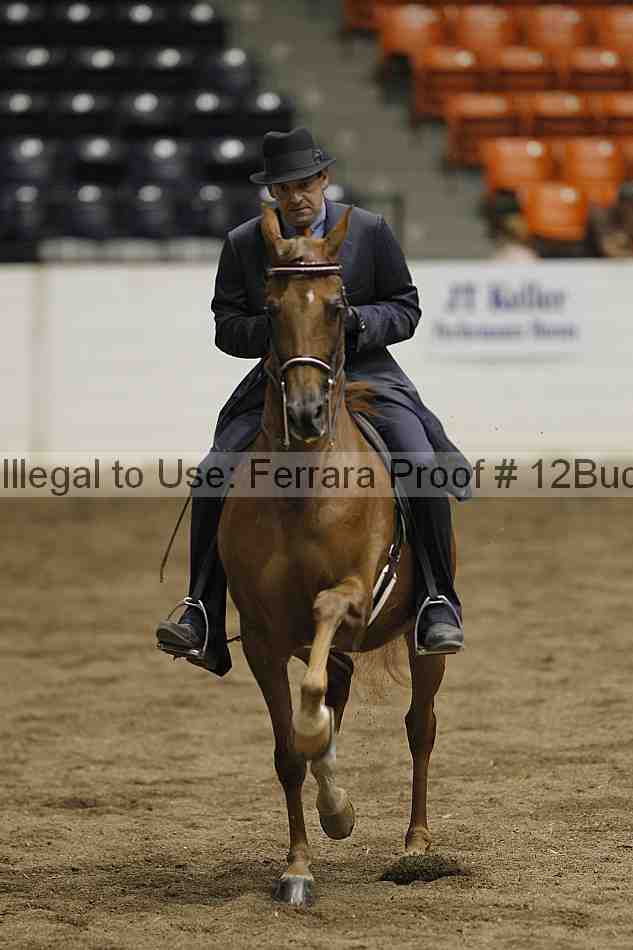 Proof 12buck_6028