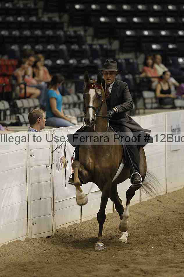 Proof 12buck_6029