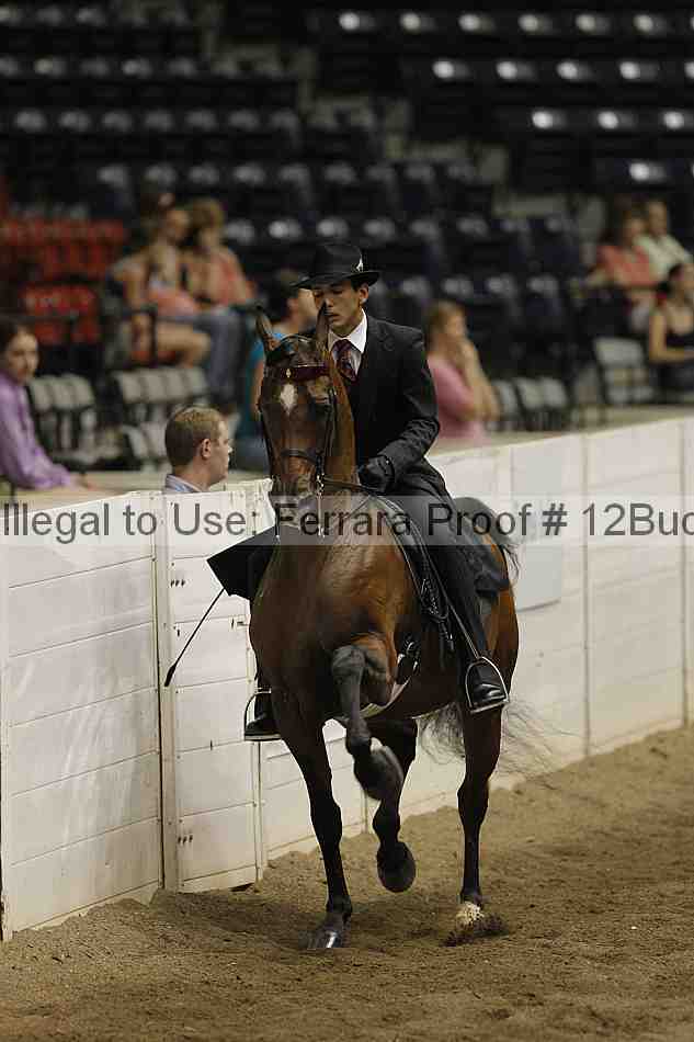 Proof 12buck_6030