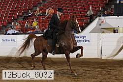 12buck_6032 proof