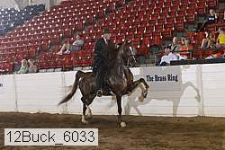 12buck_6033 proof