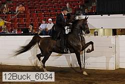 12buck_6034 proof